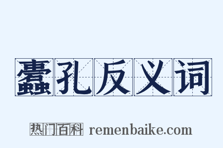 蠹孔反义词是什么意思的图片